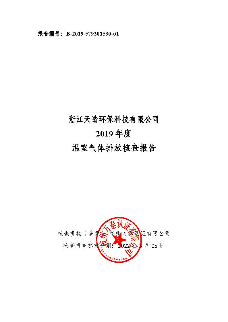 浙江天造環(huán)保科技有限公司2019年度碳核查報(bào)告